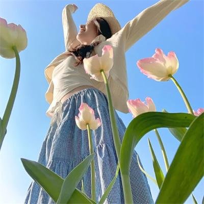区区不才，在下野怪海报