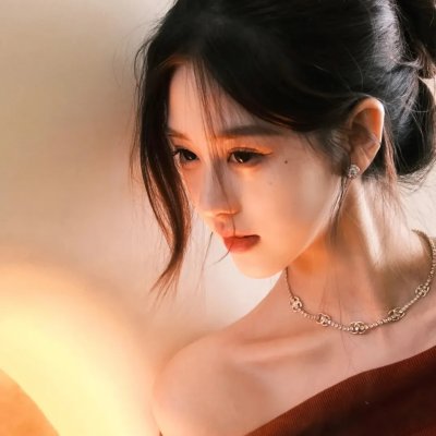 安妮回忆录海报